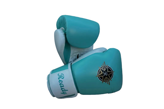Ready 14oz premium Training & Sparring Boxing gloves